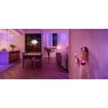 Miniatyrbilde 9 av 10: Philips Hue wall switch module 2-pack