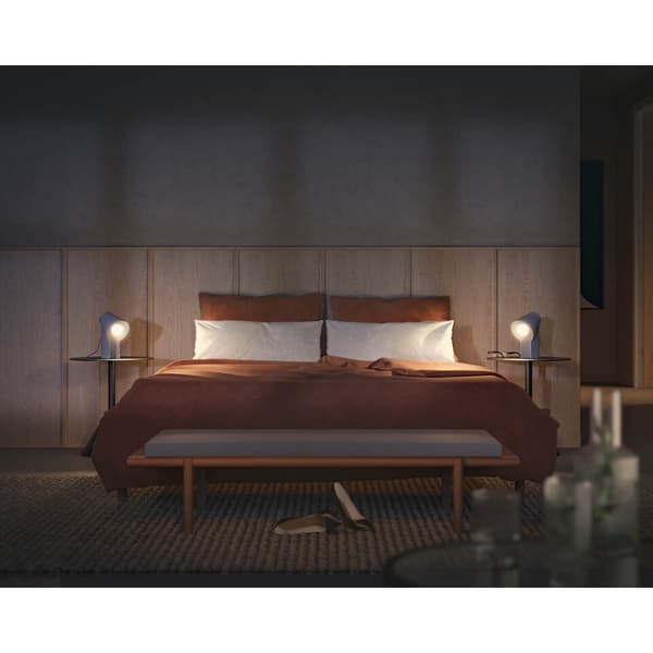 Philips Hue WA Lyskilde 6W A60 E27 2pk