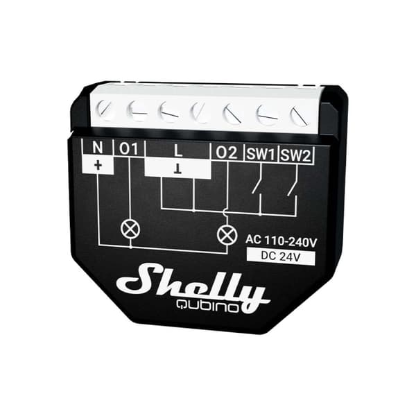 Shelly Qubino Wave 2PM