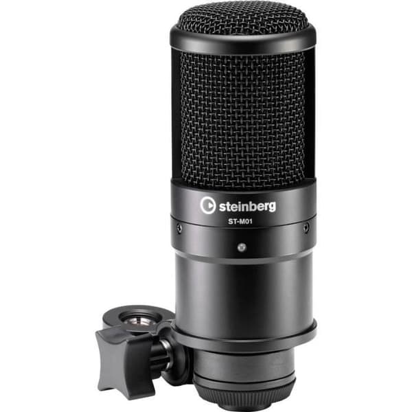 Steinberg UR22 MKII Recording Pack Elements Edition ljudgränssnitt