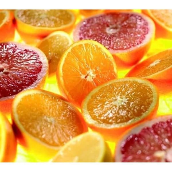 Citruspress till Kenwood Chef robot - tillbehör - 600 ml skål