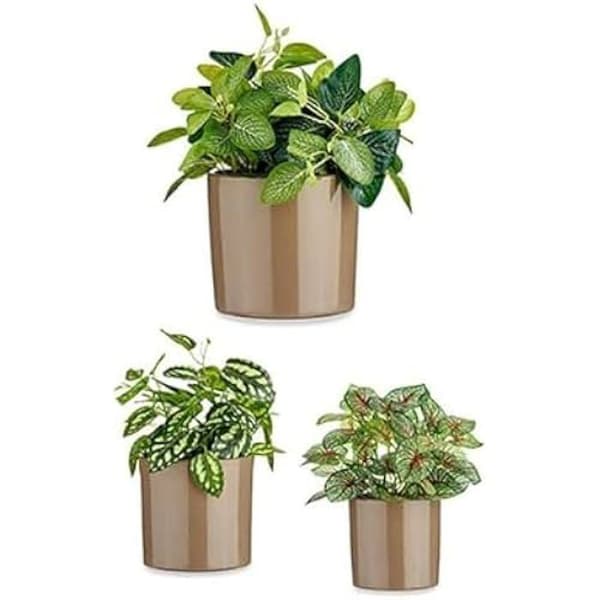 Set med krukor - IBERGARDEN - Cylinder - Ø 14 cm, Ø 17 cm, Ø 22 cm - Flerfärgad - 3 stycken