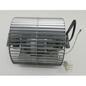 MOTOR b2e146-230v 50hzFÖR DIETRICH HUVUD * - DHD498XE1 - DHD498XE11 - DHT386XP1 - DHT386XP11