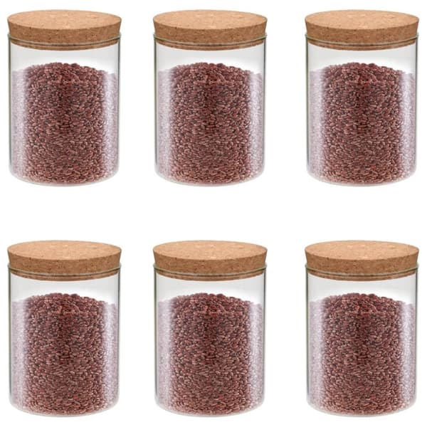 vidaXL Förvaringsburkar i glas med korklock 6 st 650 ml