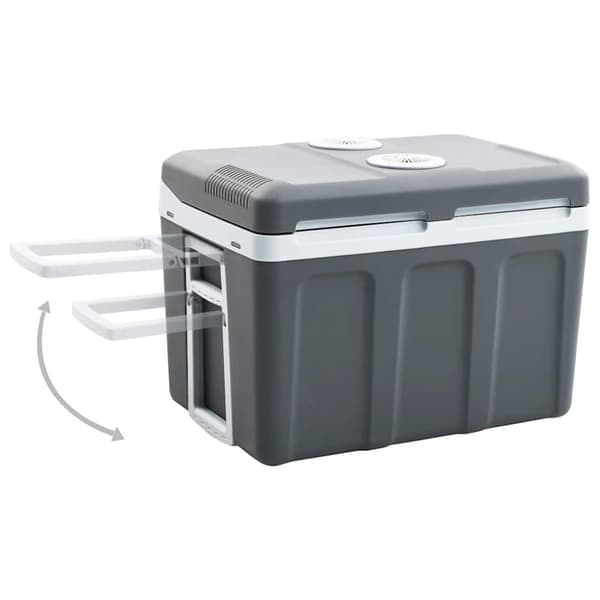 vidaXL Bærbar termoelektrisk kjøleboks 40 L 12 V 230 V E