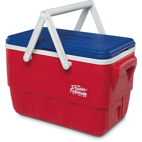 Igloo Coolers Styv Bärbar Kylare Pcinic Retro 24l Durchsichtig