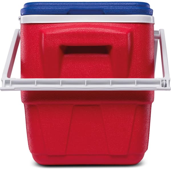 Igloo Coolers Styv Bärbar Kylare Pcinic Retro 24l Durchsichtig