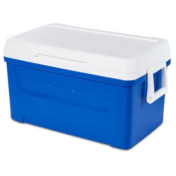 Igloo Coolers Styv Bärbar Kylare Laguna 48 46l Durchsichtig