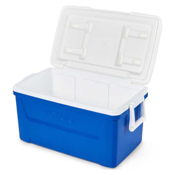 Igloo Coolers Styv Bärbar Kylare Laguna 48 46l Durchsichtig