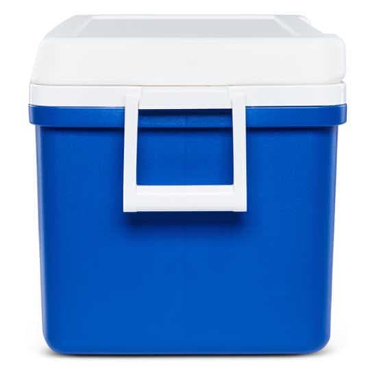 Igloo Coolers Styv Bärbar Kylare Laguna 48 46l Durchsichtig