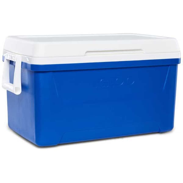 Igloo Coolers Styv Bärbar Kylare Laguna 48 46l Durchsichtig