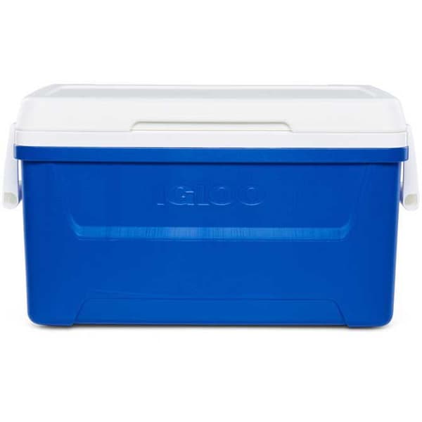 Igloo Coolers Styv Bärbar Kylare Laguna 48 46l Durchsichtig