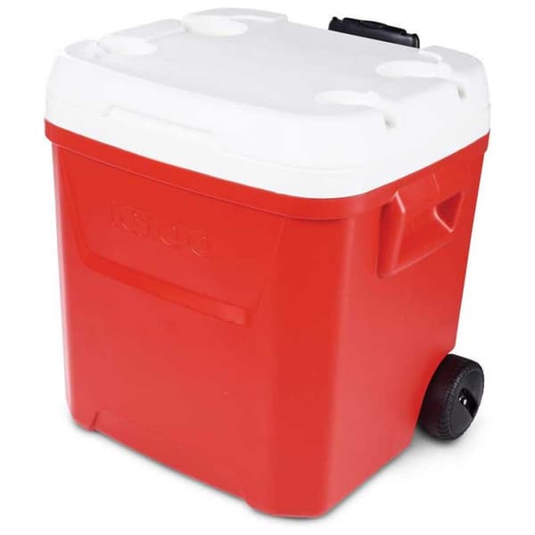 Igloo Coolers Pyörillä Varustettu Jäykkä Kannettava Jäähdytin Laguna 57l Kirkas 50 x 40 x 51 cm