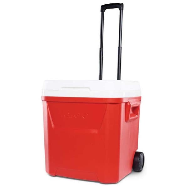 Igloo Coolers Pyörillä Varustettu Jäykkä Kannettava Jäähdytin Laguna 57l Kirkas 50 x 40 x 51 cm