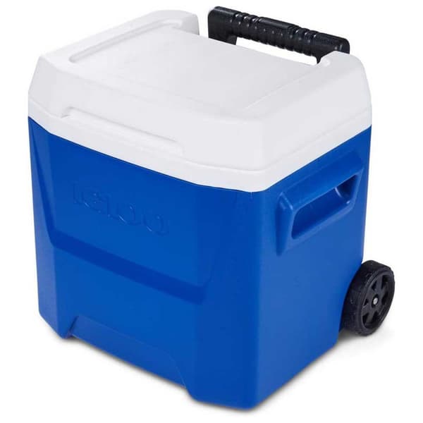 Igloo Coolers Hjul. Styv Bärbar Kylare Laguna 16 15l Durchsichtig