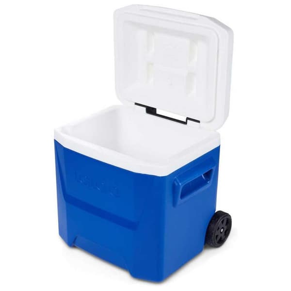 Igloo Coolers Hjul. Styv Bärbar Kylare Laguna 16 15l Durchsichtig