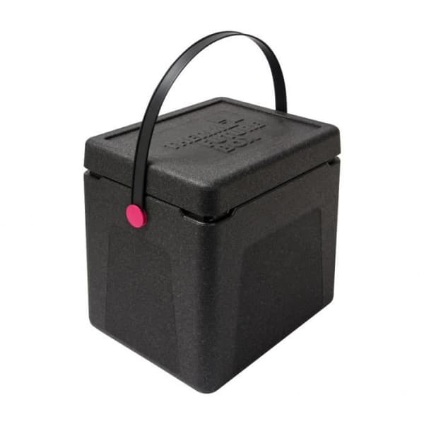 Isolerad shoppingbehållare 20 L Rosa knapp - Termo Future Box