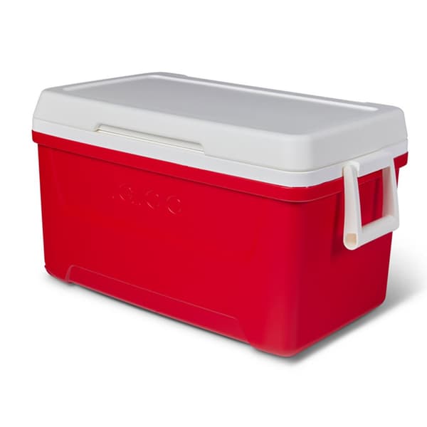 Igloo Coolers Stiv Bærbar Køler Laguna 48 46l Transparent
