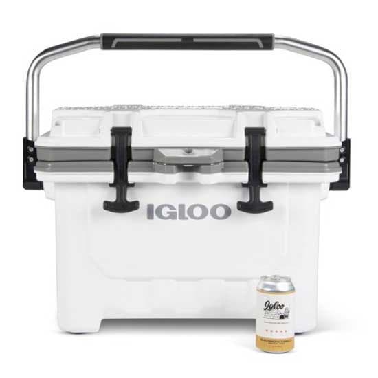 Igloo Coolers Imx 24 22l Styv Bärbar Kylbox Durchsichtig