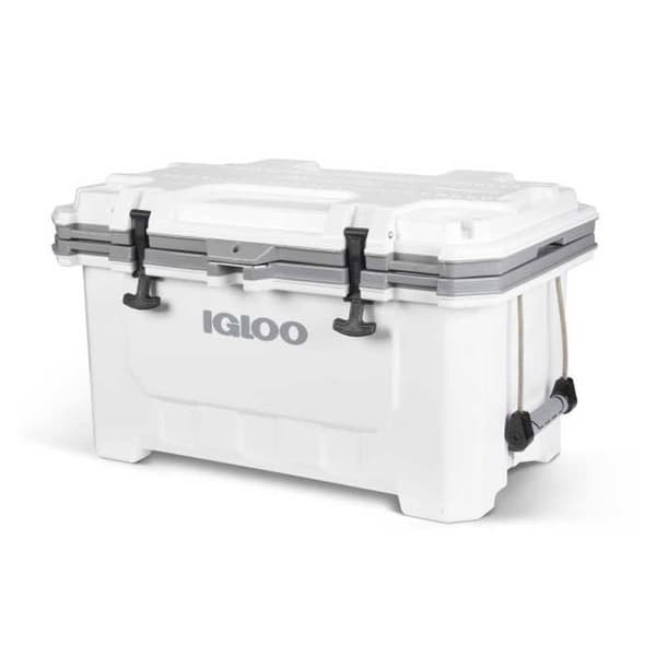 Igloo Coolers Imx 70 66l Stiv Bærbar Køleboks Transparent Hvid