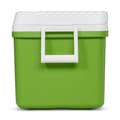 Miniatyrbild 5 av 5: Igloo Coolers Laguna 48 46l Styv Bärbar Kylbox Guld