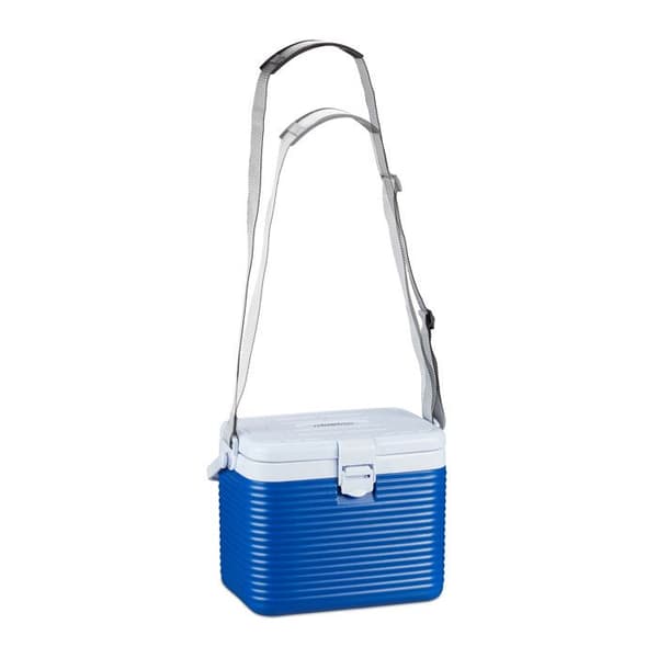 Relaxdays liten bärbar kylare, med handtag, minikylare, utan el, 8L, HBT 23,5 x 31 x 21 cm, vit-blå