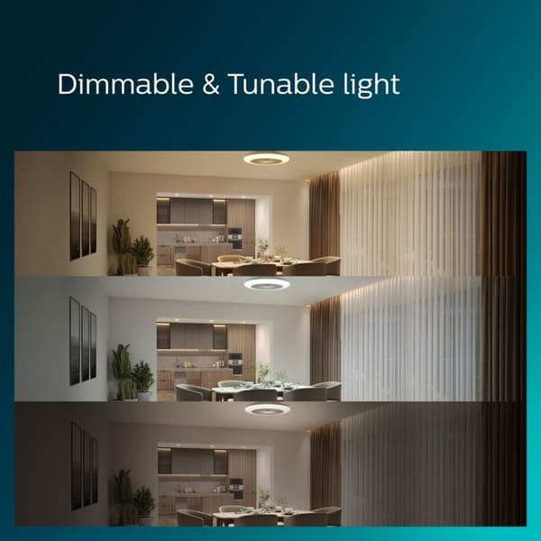 Philips Amigo takvifte med LED-belysning varm/kaldhvit 6000 lm