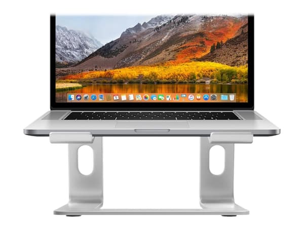 desire2 Supreme Pro - Ställ för bärbar dator - 10" - 17.3" - silver