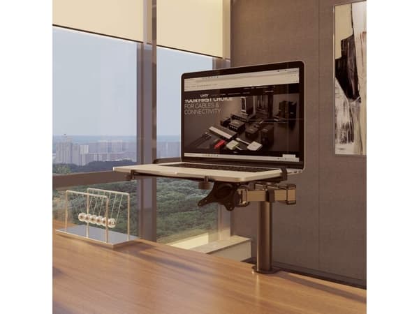 Lindy Laptop/Notebook Display Arm, Laptop arm, Black, Metal, 30 cm (11.8"), 43.9 cm (17.3"), 10 kg