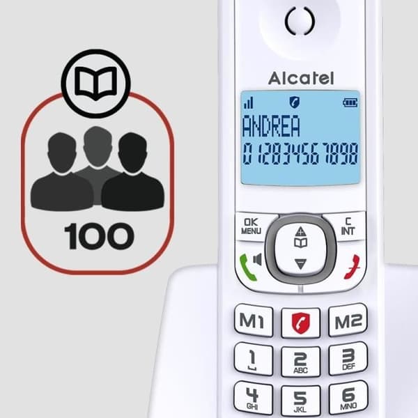 Alcatel F530 Solo Langaton puhelin ilman vastaajaa Harmaa
