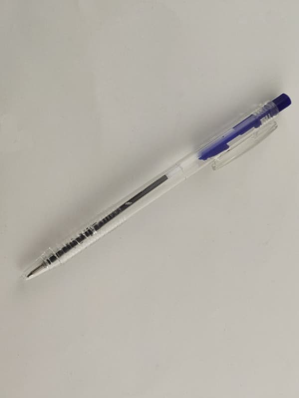 Ink Pen - Blue/Black 10 pack