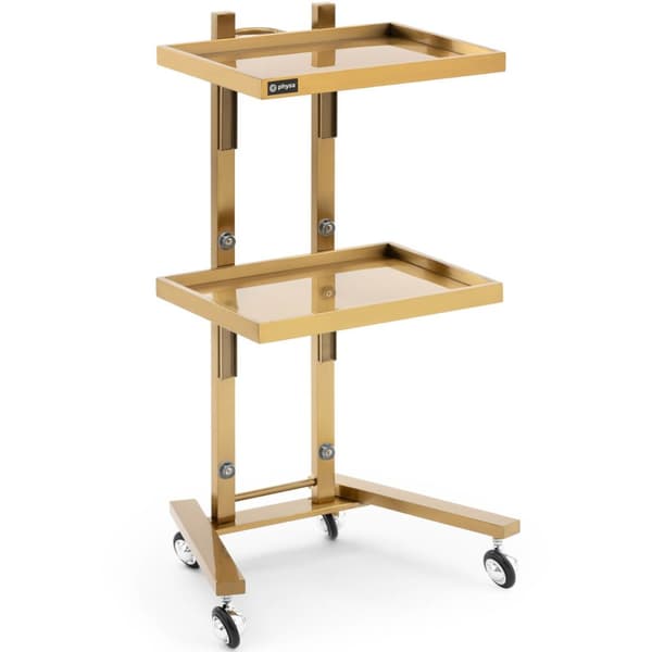 Metallfrisörskönhetshjälpvagn med 2 hyllplan 40 x 86 x 50 cm - guld