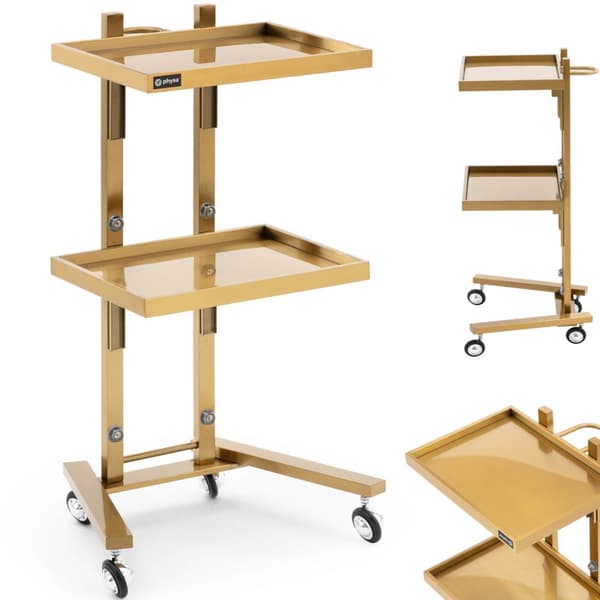 Metallfrisörskönhetshjälpvagn med 2 hyllplan 40 x 86 x 50 cm - guld