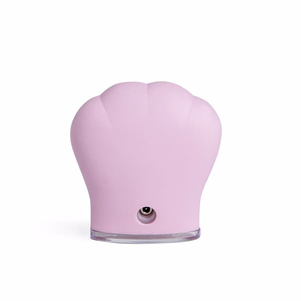 SKIN cleansing brush 1 unit