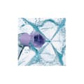 Miniatyrbild 3 av 4: Hydropulseur - PHILIPS - SONICARE HX3826/31 - Trådlös - Uppladdningsbar - 2 rengöringslägen