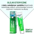 Pikkukuva 3 / 3: Natur Blanc ARCTIC MINT virkistävä hammastahna / SYLVECO