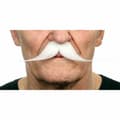 Pikkukuva 1 / 3: Moustache My Other Me