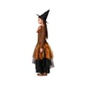 Miniatyrbillede 2 af 6: Costume for Children Witch 10-12 Years