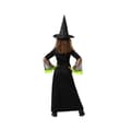 Pikkukuva 3 / 5: Costume for Children Green Witch