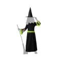Pikkukuva 4 / 5: Costume for Children Green Witch