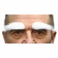 Miniatyrbild 1 av 3: False eyebrows My Other Me White