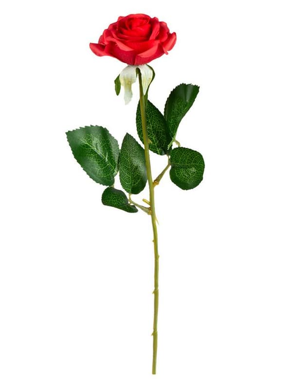 Rød rose.Size-One size