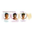Miniatyrbild 2 av 2: Set med 10 OZ INTERNATIONAL sminksvampar med hög densitet - Rosa
