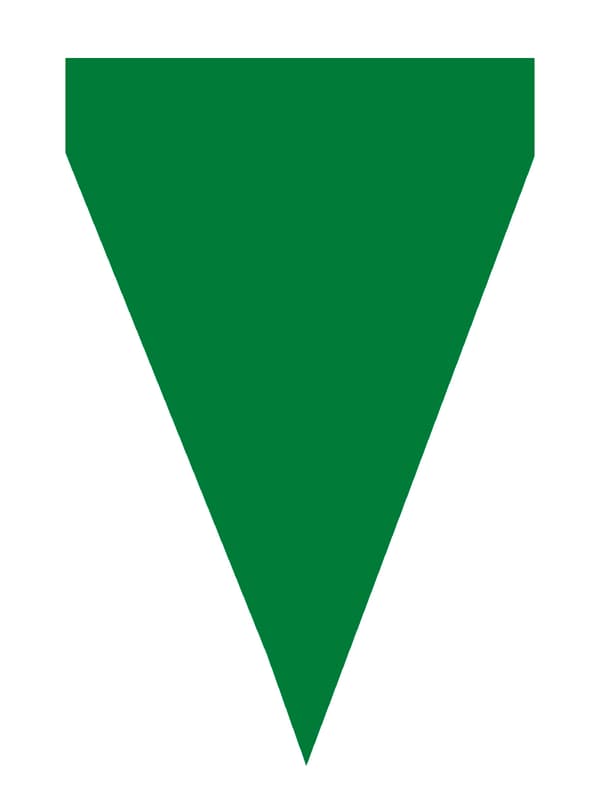FUNIDELIA 1 banner med grønne flag - Plain Colours til kvinder og mænd - 0