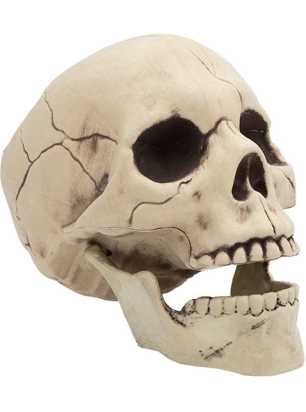 FUNIDELIA Dekorativ döskalle Halloween för dam och herr - Storlek: 0 - Vit