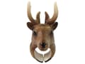 Pikkukuva 3 / 5: Koulueläimet Deer rannerengas