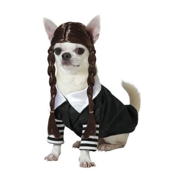 Gothisk Kostym för Hund - ATOSA - Onsdag Adams - Svart - Halloween - Unisex