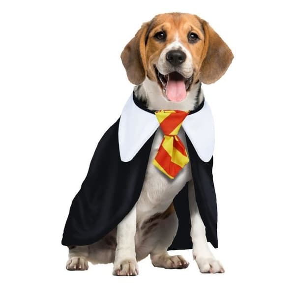 Harry Potter-kostym för Husdjur - FIESTAS GUIRCA, S.L. - Svart - Polyester