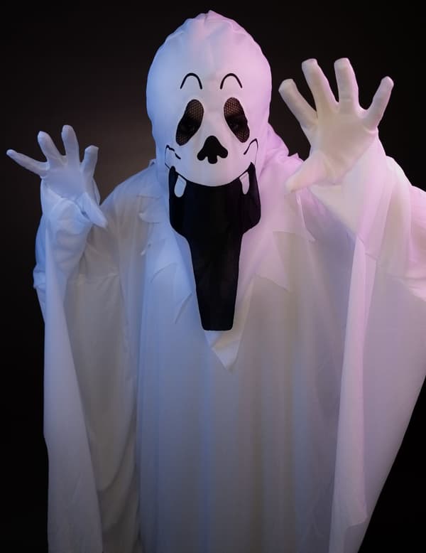 Barns Halloween Ghost Costume