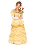 Pikkukuva 1 / 6: Lasten kaunis prinsessamekko